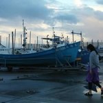 tayu1225の旅行プロフィール