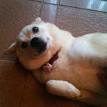 inakn6の旅行プロフィール