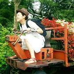 大津 歩未の旅行プロフィール