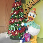 つかの旅行プロフィール