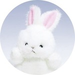 うさぎの旅行プロフィール