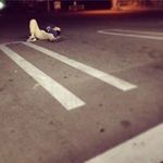 杉本 昂の旅行プロフィール