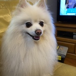 merori8の旅行プロフィール