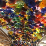 みゆきーたの旅行プロフィール