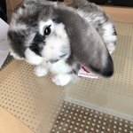 しのの旅行プロフィール