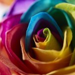 kurototo2000の旅行プロフィール