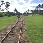 amiiiの旅行プロフィール