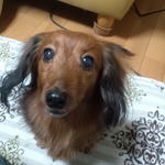 hfuchanの旅行プロフィール