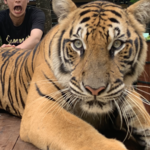 たくぞうの旅行プロフィール