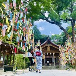 Yumidesukedo の旅行プロフィール