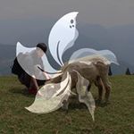 Ko Takayamaの旅行プロフィール