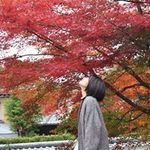 なの旅行プロフィール