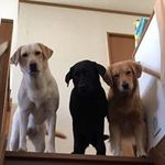 小栗 真由美の旅行プロフィール