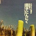 Emi Shishinaiの旅行プロフィール