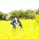 田中 美帆の旅行プロフィール