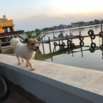 hidenor27912600の旅行プロフィール