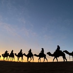 ayumiの旅行プロフィール