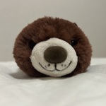 sakaiの旅行プロフィール