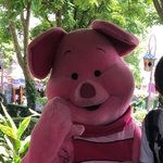 maitunacanの旅行プロフィール