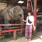 asamiの旅行プロフィール