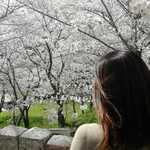 Saccoの旅行プロフィール