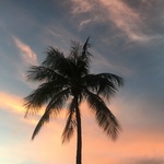 ogazeuseの旅行プロフィール