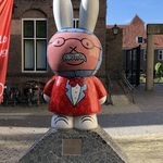 ゆきえの旅行プロフィール