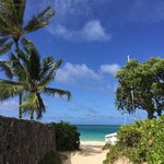 あつの旅行プロフィール