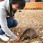 関口 優子の旅行プロフィール