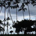 ココの旅行プロフィール