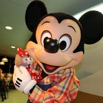 かぼちゃの旅行プロフィール