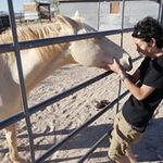 Igarashi Keiyaの旅行プロフィール