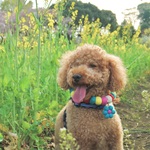 TTの旅行プロフィール