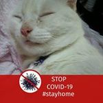 かわい えみの旅行プロフィール