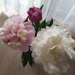 伊藤 美穂の旅行プロフィール