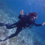 Asuka Wadaの旅行プロフィール