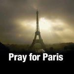 慎介森の旅行プロフィール