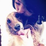 Kei Matsumuraの旅行プロフィール