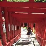 Miki Hasegawaの旅行プロフィール