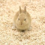 AKIの旅行プロフィール