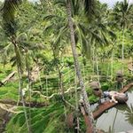 Mitsunari Kotakeの旅行プロフィール