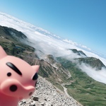 ともごんの旅行プロフィール