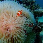 masumiの旅行プロフィール