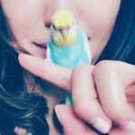 Aiko Kusakariの旅行プロフィール