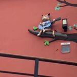 kaoruの旅行プロフィール