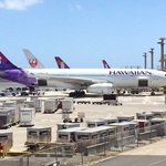 KOHANAの旅行プロフィール