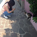 ほまぽんの旅行プロフィール