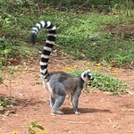 こちびの旅行プロフィール