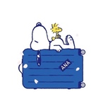 saの旅行プロフィール