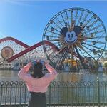 namiの旅行プロフィール